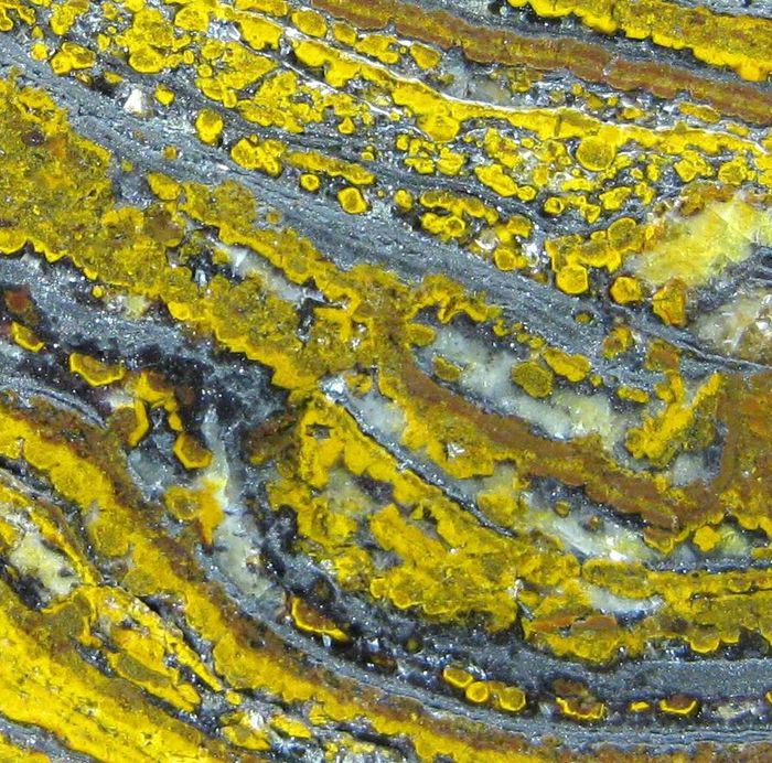 Quartz Var Eisenkiesel Psm Fossil Stromatolite With Hematite