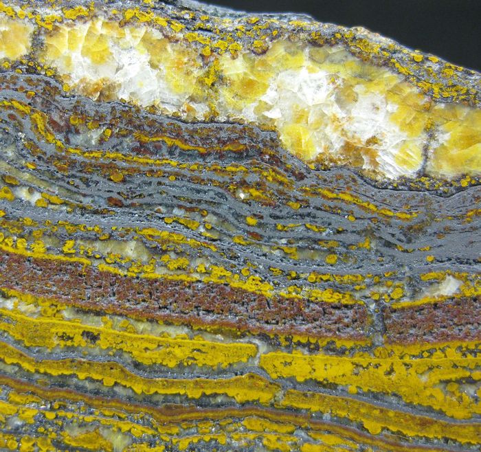 Quartz Var Eisenkiesel Psm Fossil Stromatolite With Hematite