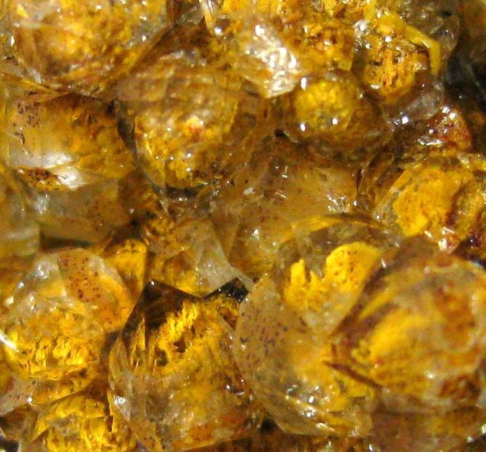 Quartz Var Eisenkiesel With Fossil Fungi Inclusions
