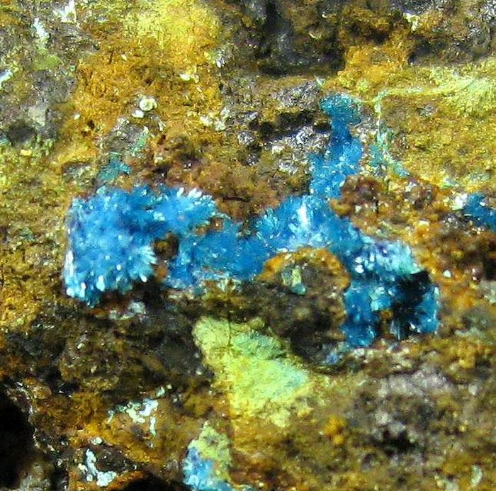 Serpierite
