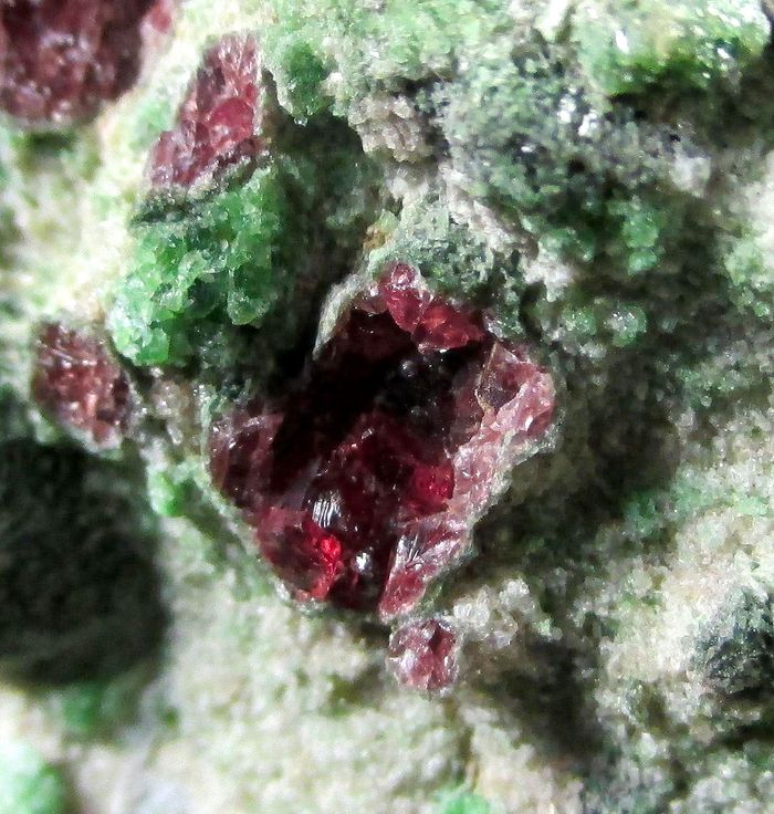 Pyrope & Chromian Diopside