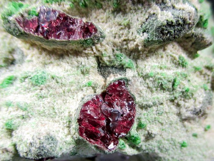 Pyrope & Chromian Diopside