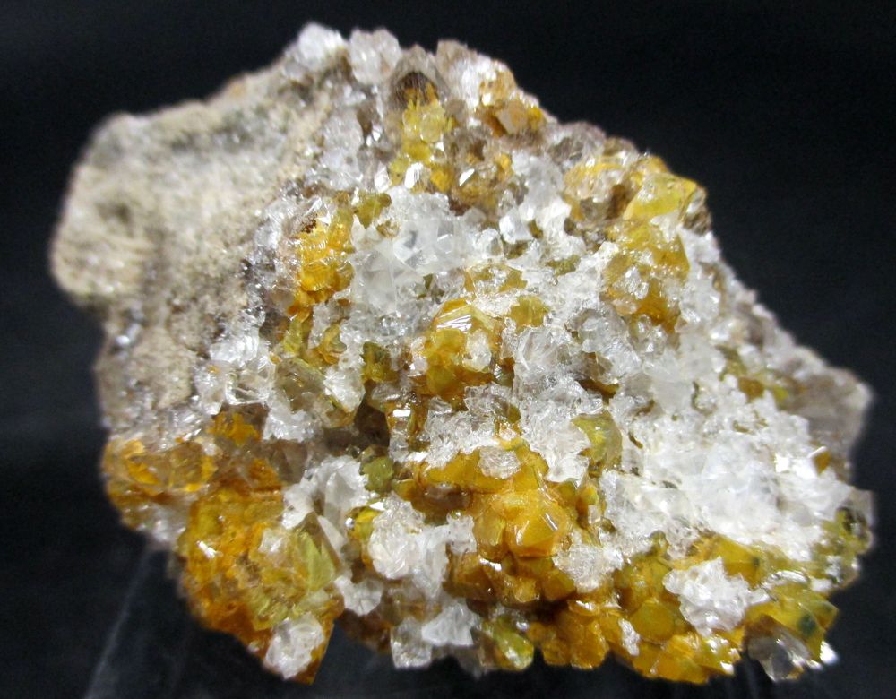 Quartz Var Eisenkiesel Psm Fossil Fungi Mycelium & Fossil Bacteria