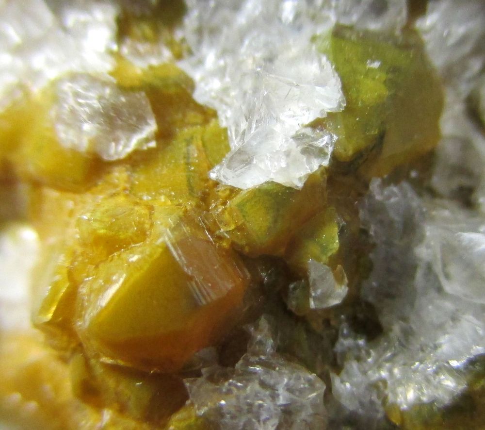 Quartz Var Eisenkiesel Psm Fossil Fungi Mycelium & Fossil Bacteria