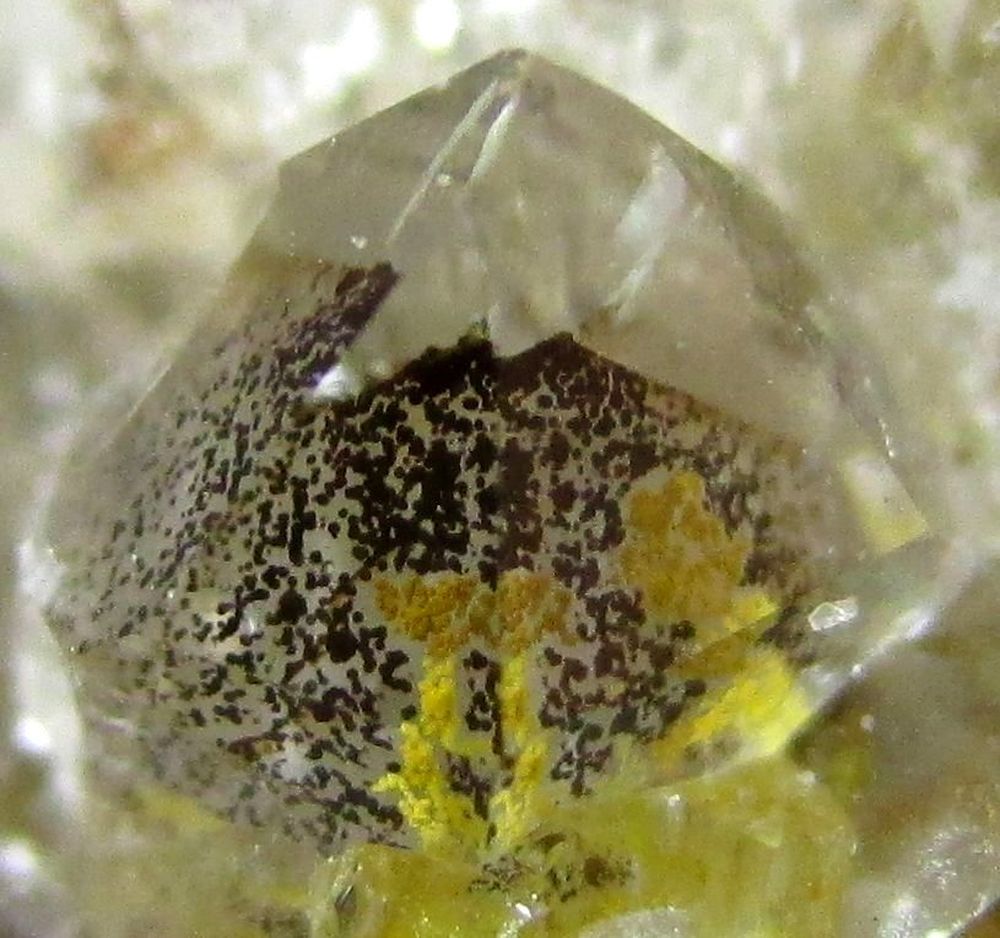 Quartz Var Eisenkiesel Psm Fossil Fungi Mycelium & Fossil Bacteria