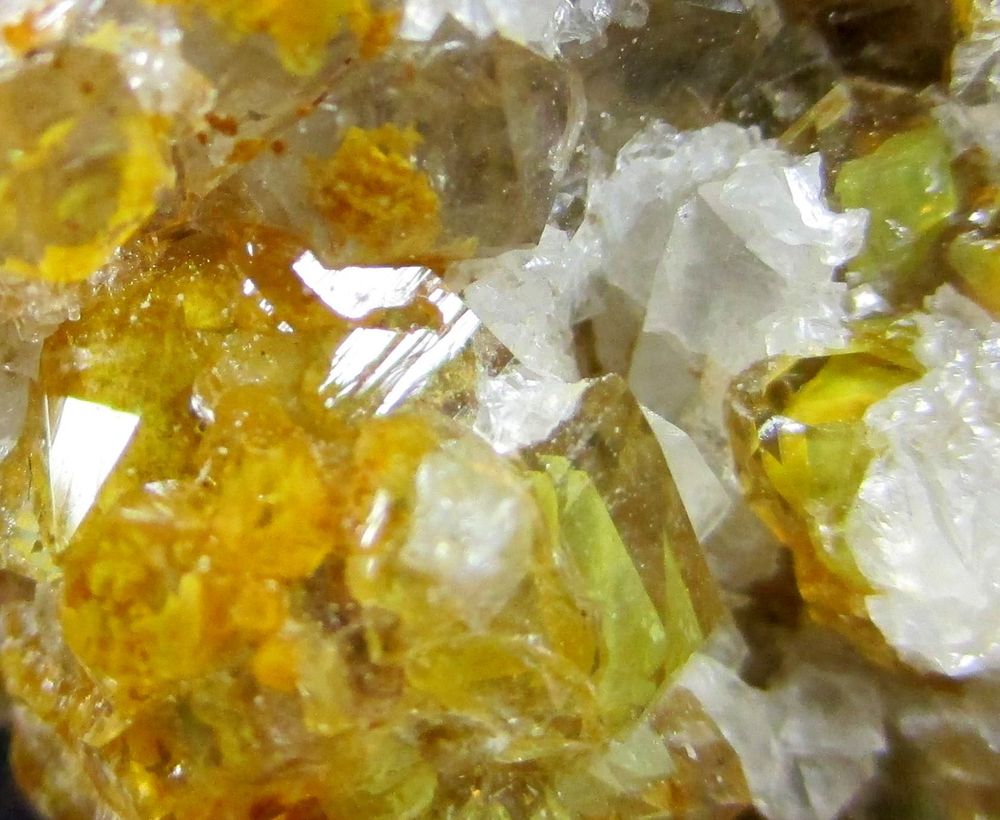 Quartz Var Eisenkiesel Psm Fossil Fungi Mycelium & Fossil Bacteria