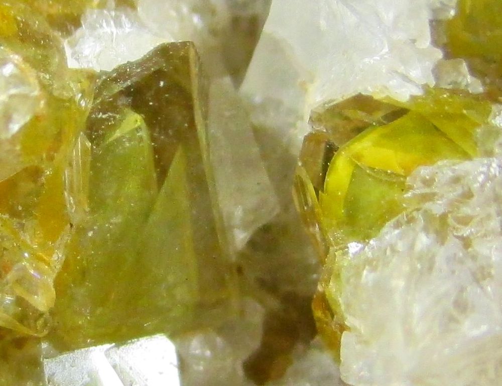 Quartz Var Eisenkiesel Psm Fossil Fungi Mycelium & Fossil Bacteria