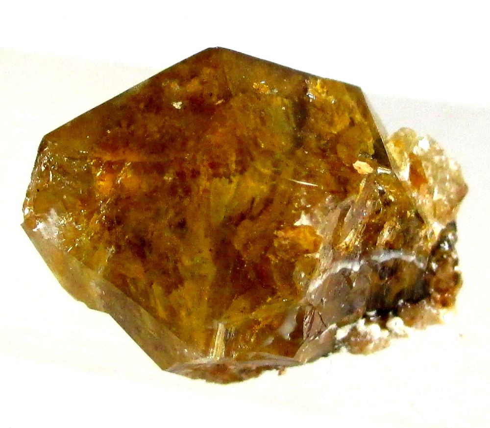 Eisenkiesel Psm Fossil Archaea Bacteria
