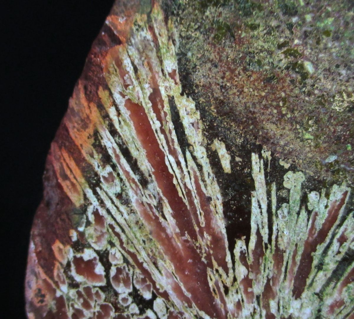 Agate Psm Scolecite