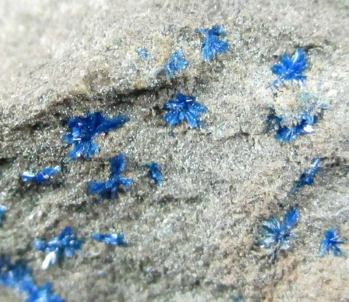 Linarite