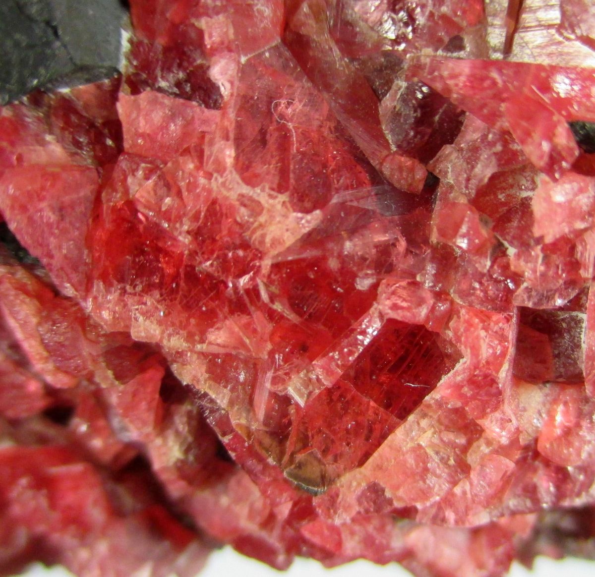 Rhodonite Allanite-(Ce) & Fluorite