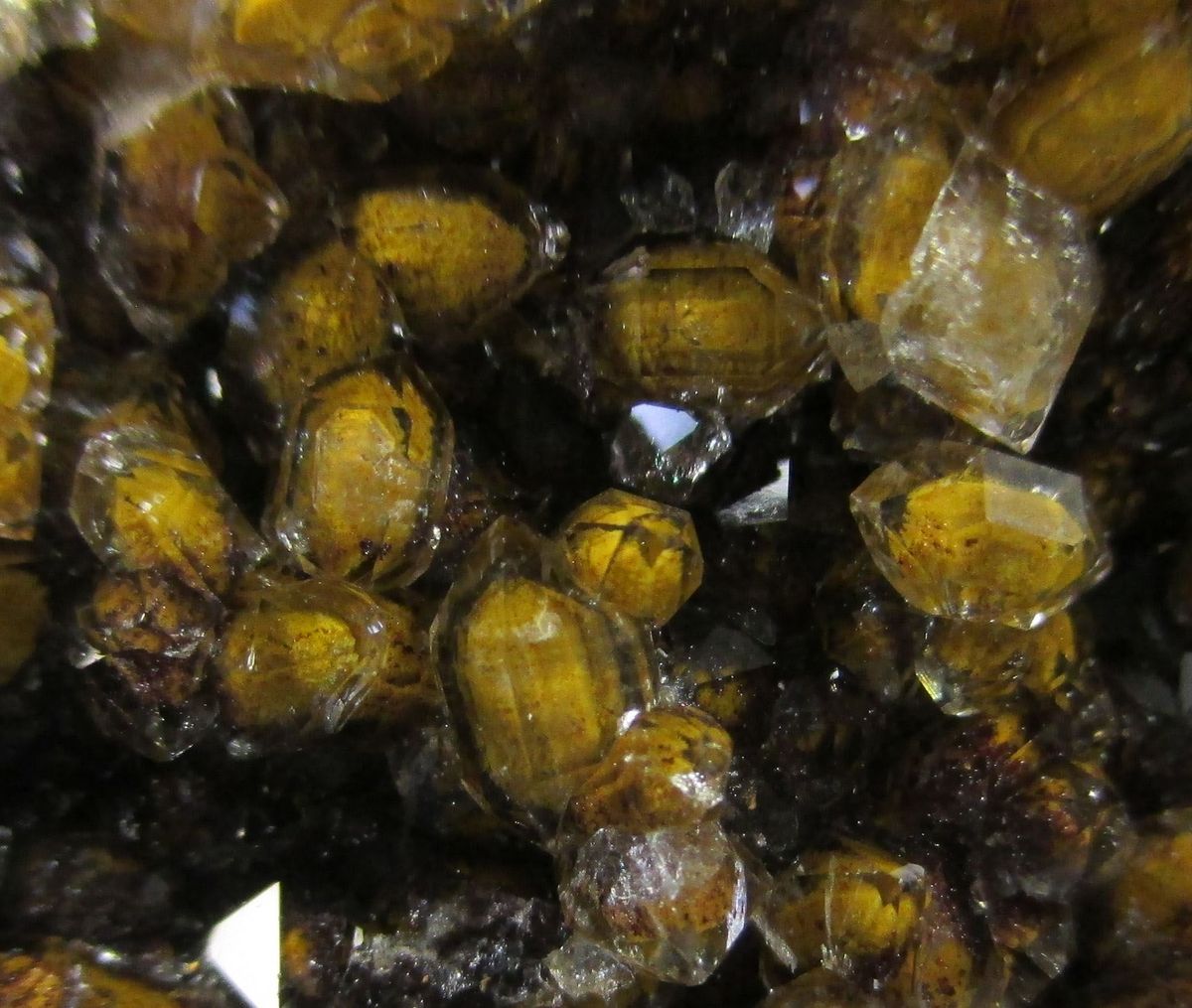 Quartz Var Eisenkiesel Psm Fossil Bacteria Inclusions