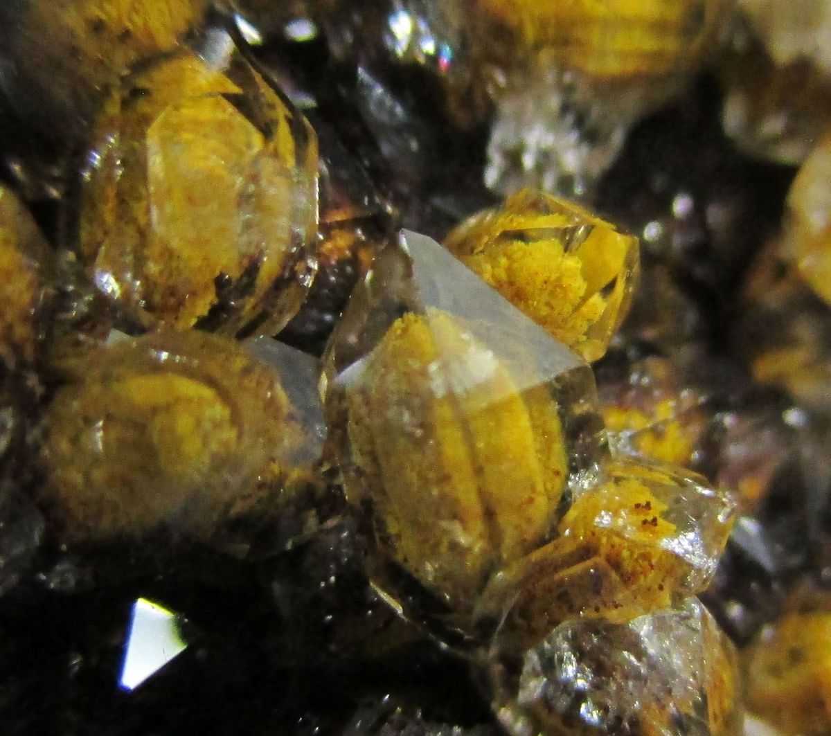Quartz Var Eisenkiesel Psm Fossil Bacteria Inclusions