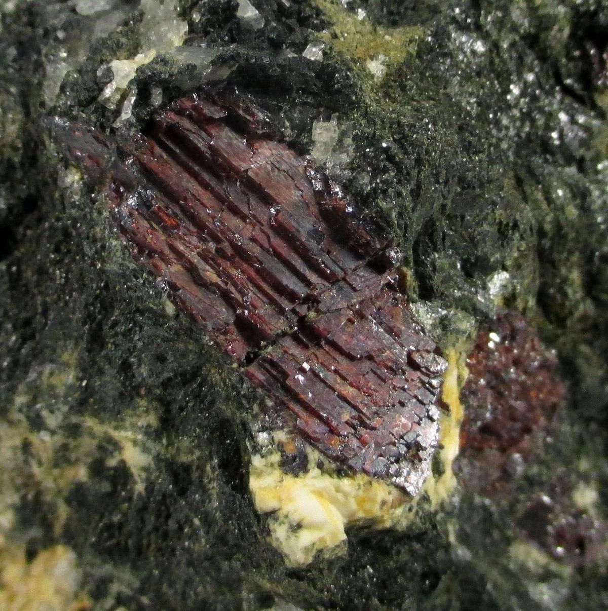 Rutile