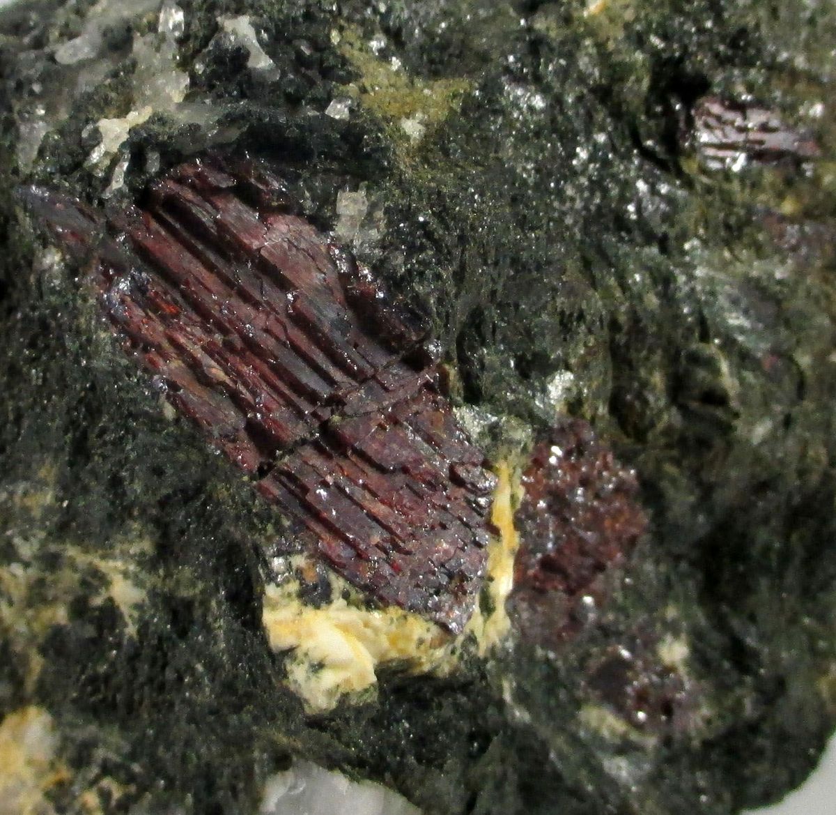 Rutile