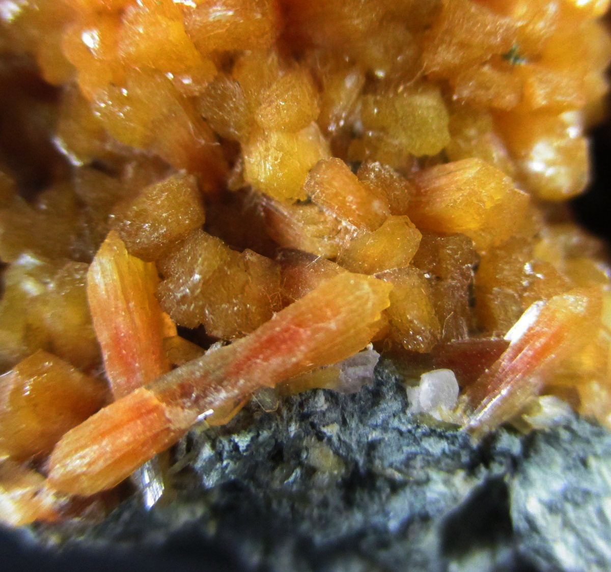 Stellerite & Calcite