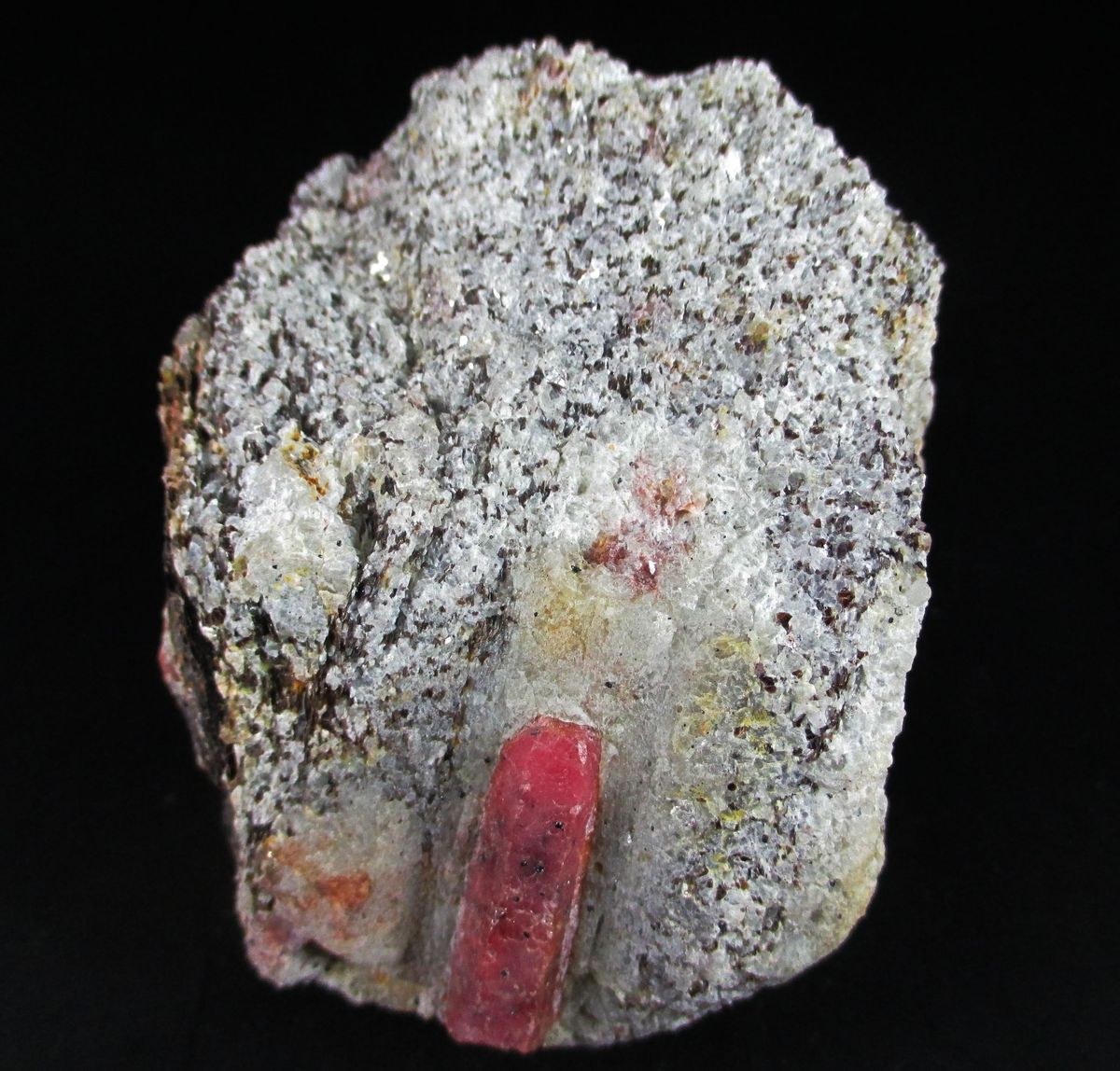 Ruby Enstatite & Phlogopite