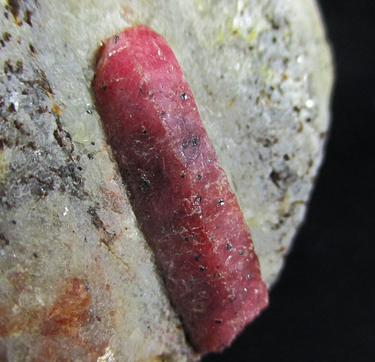 Ruby Enstatite & Phlogopite