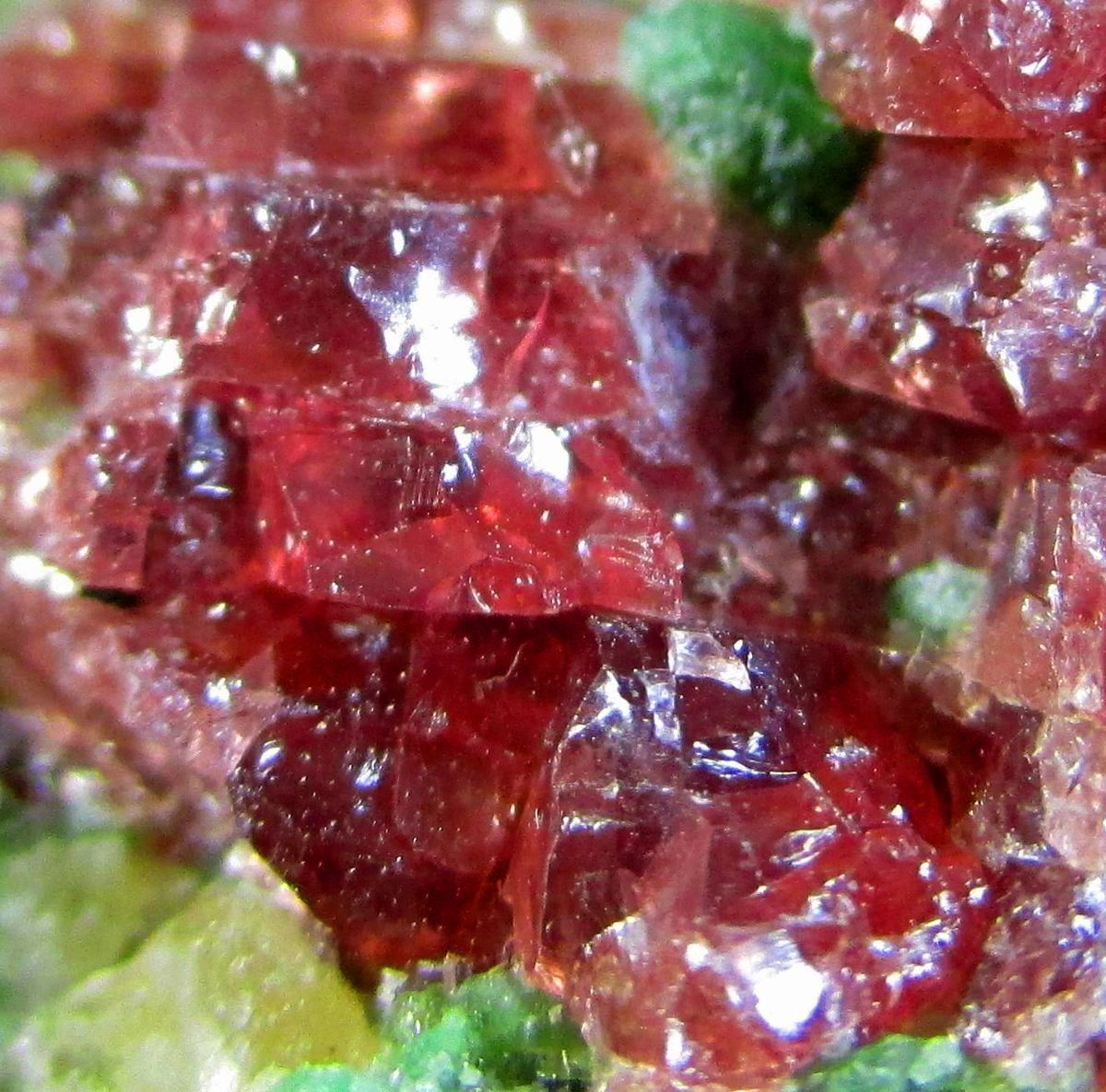 Pyrope & Chromian Diopside