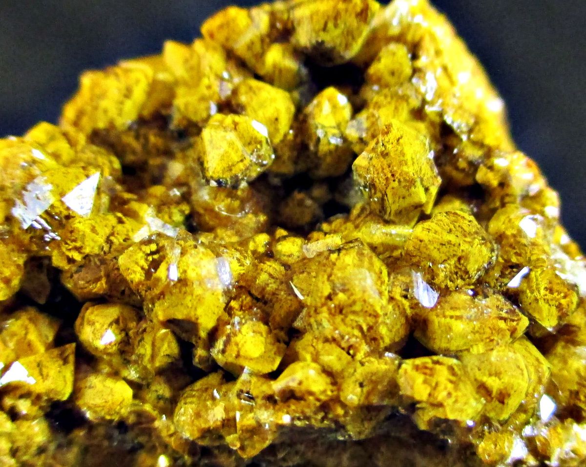 Eisenkiesel Psm Fossil Archaea Bacteria