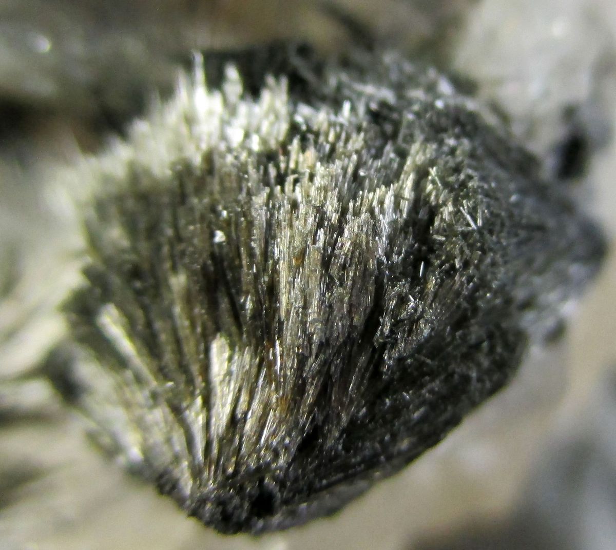 Tourmaline Var Luinaite-(OH) On Rock Crystal