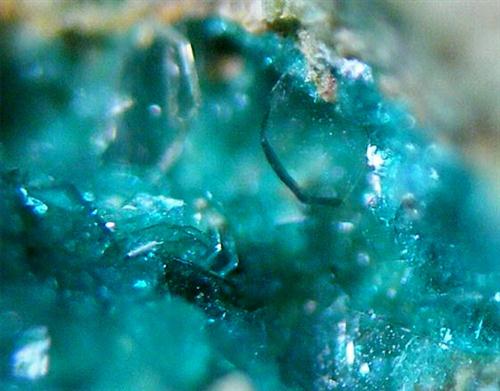 Chalcophyllite