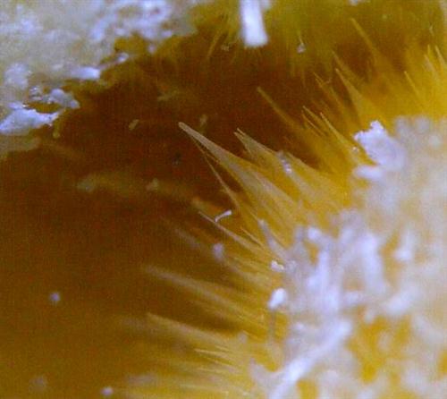 Keramohalite
