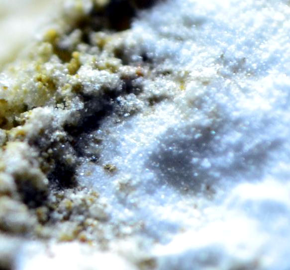 Ginorite