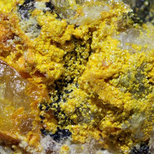 Clinobisvanite