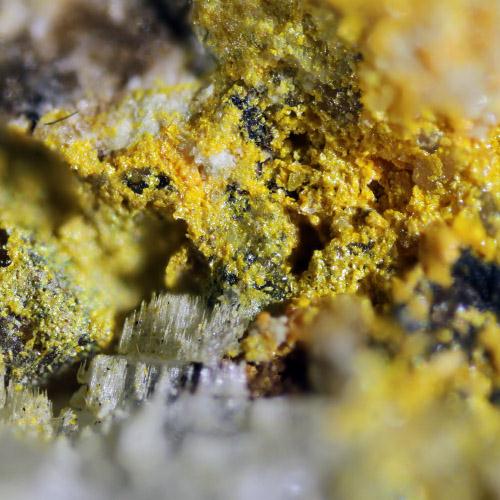 Clinobisvanite