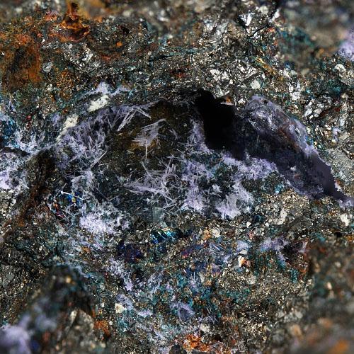 Elyite