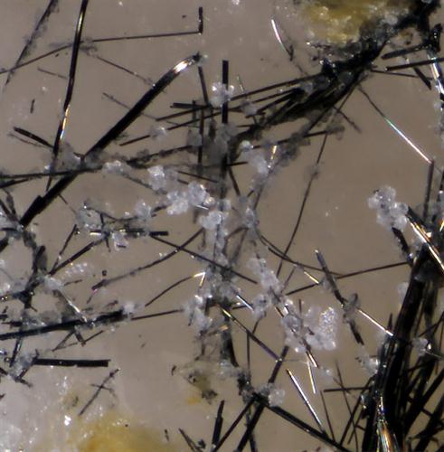 Emplectite