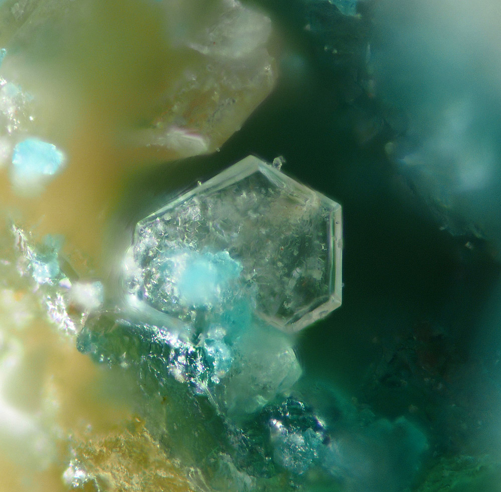 Caracolite