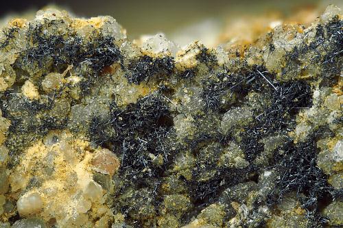 Native Selenium