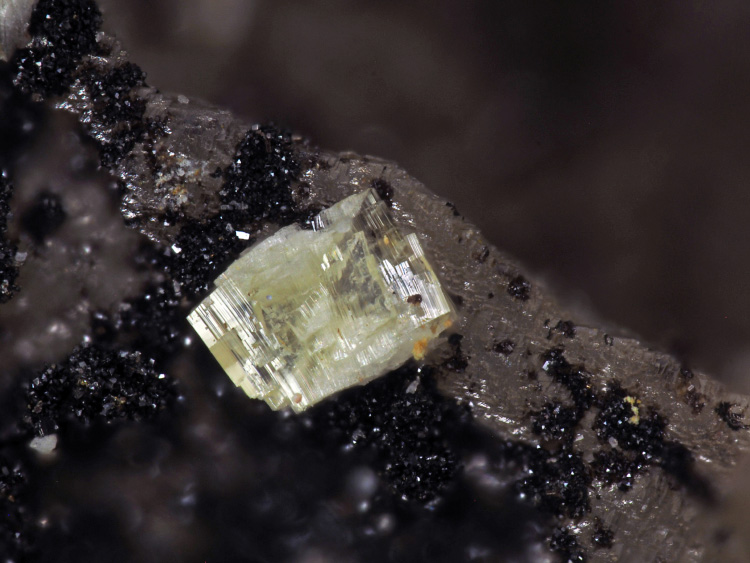Okruschite