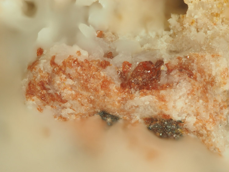 Maxwellite