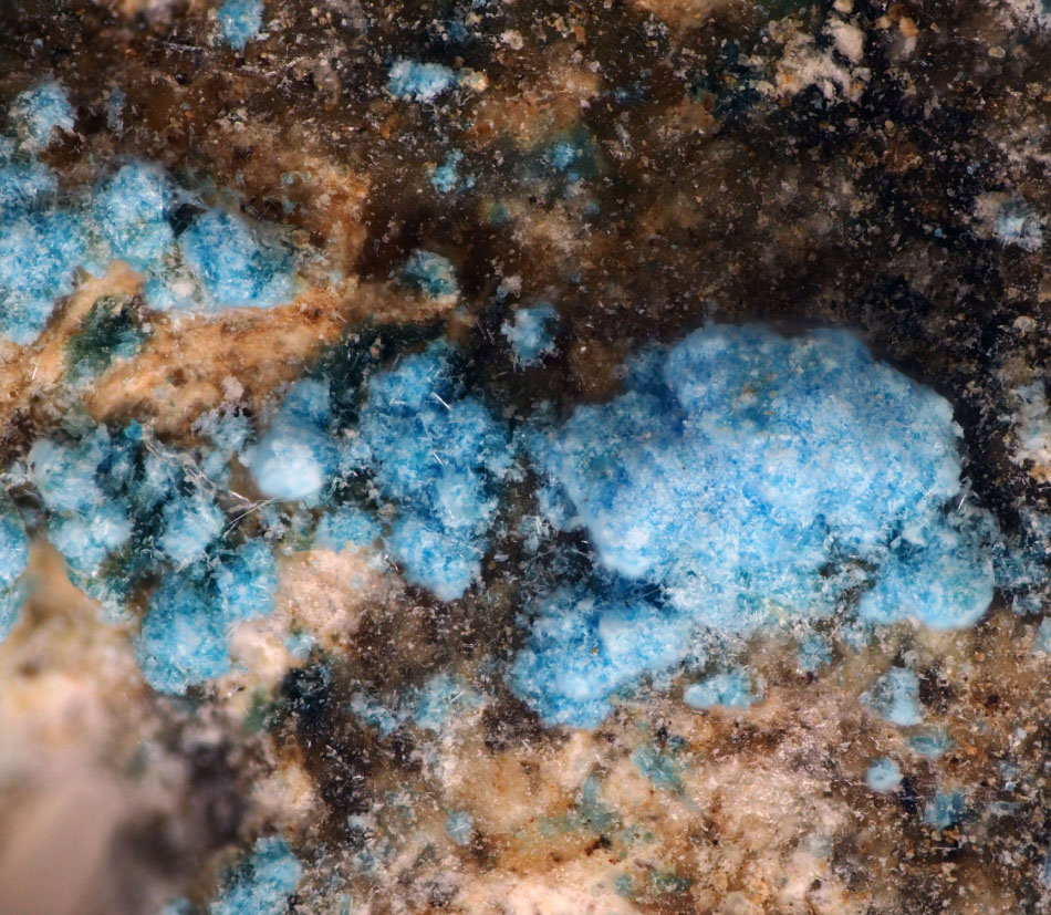 Antipinite