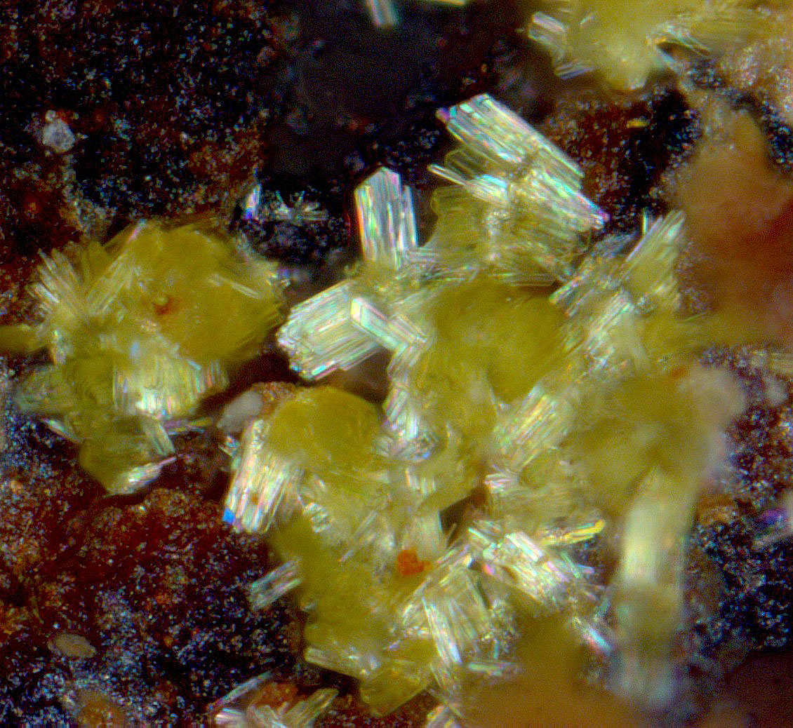 Steigerite