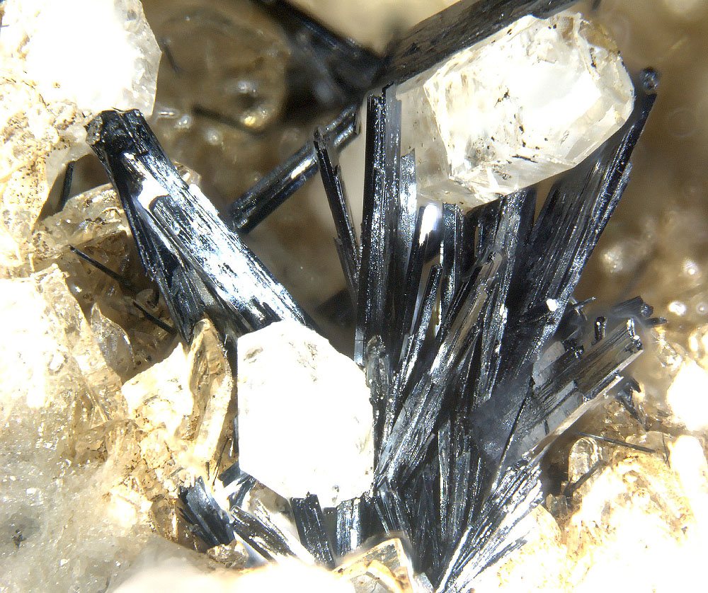 Mendigite