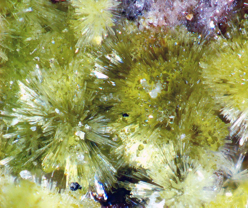 Adranosite-(Fe)