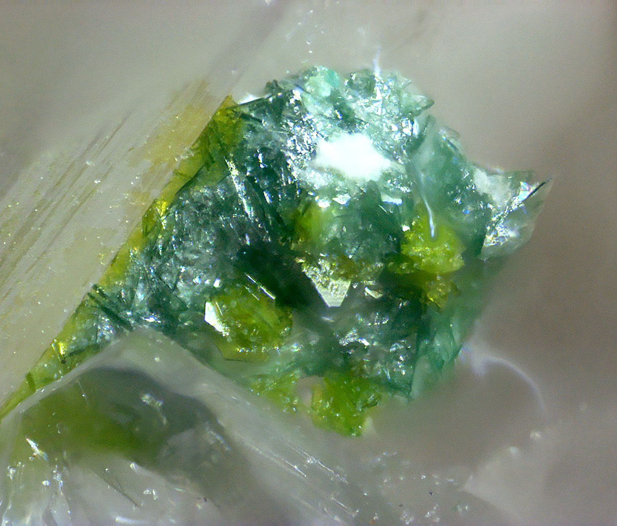 Bairdite On Telluroperite