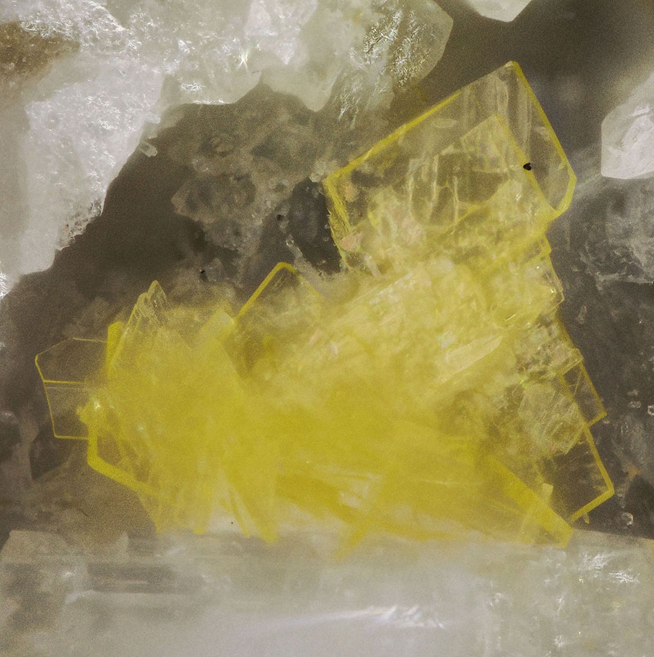 Uranospinite