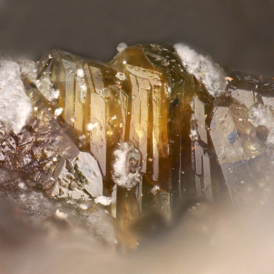 Badalovite
