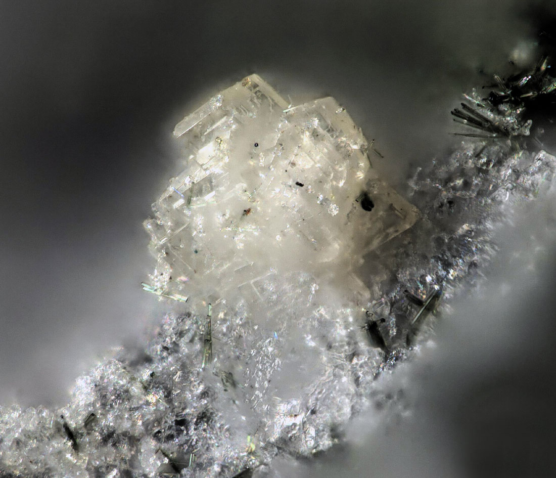 Benyacarite & Waylandite