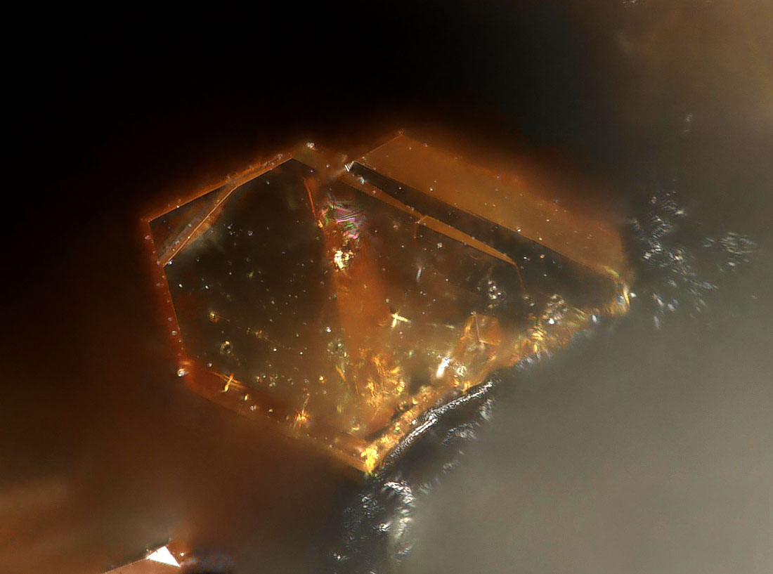 Nealite