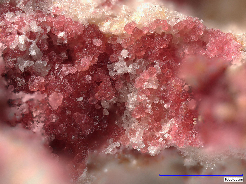 Ammoniotinsleyite