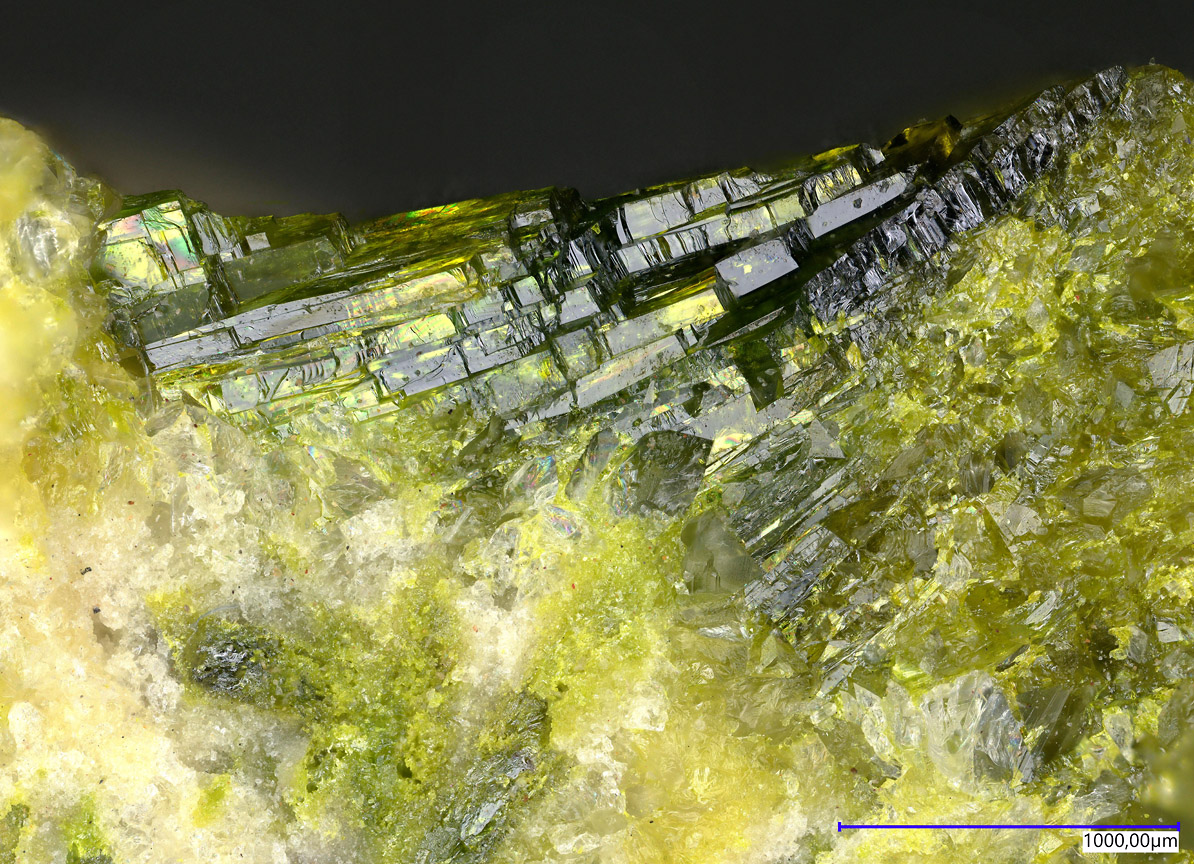 Rodalquilarite