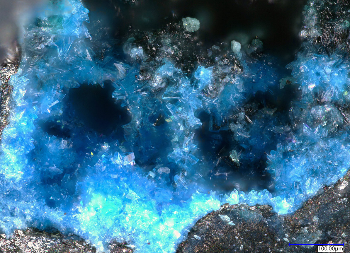 Lauraniite