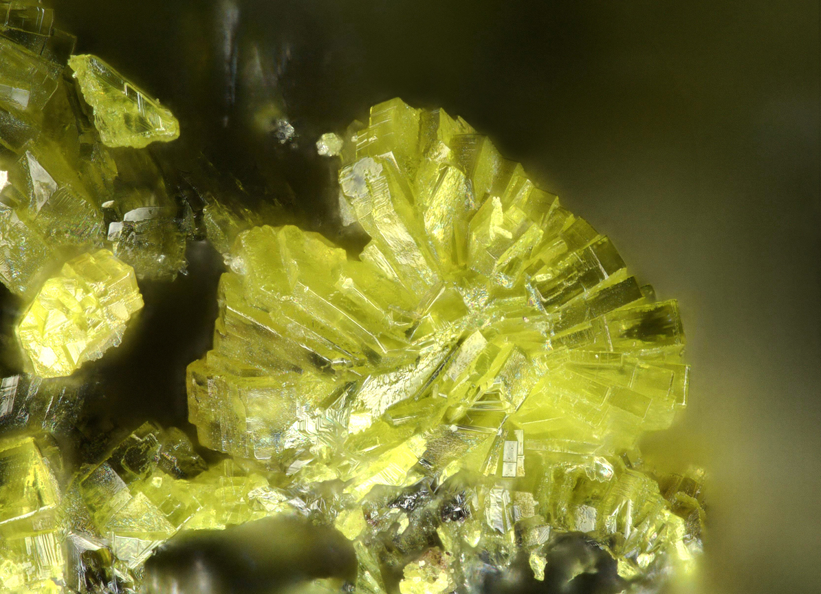 Hydrotungstite & Ferberite