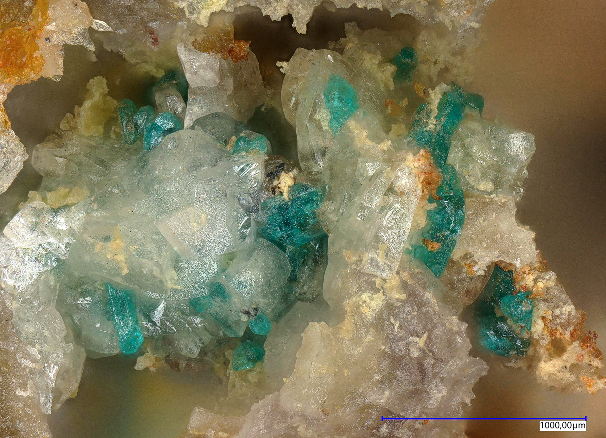 Caledonite & Chlorargyrite